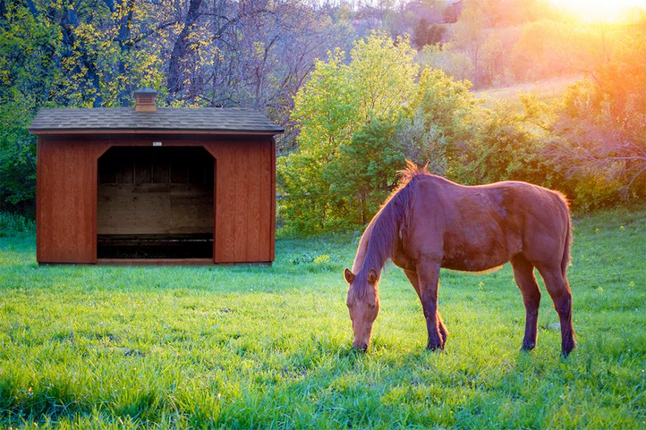 2019 Stunning Horse Shelter Sheds | Countryside Sheds in, OR