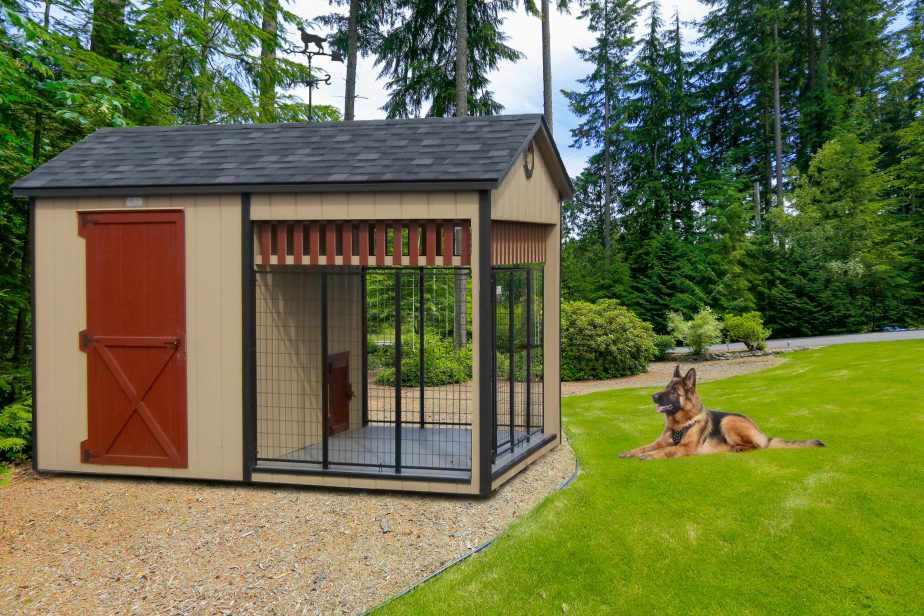 shed and dog kennel combo