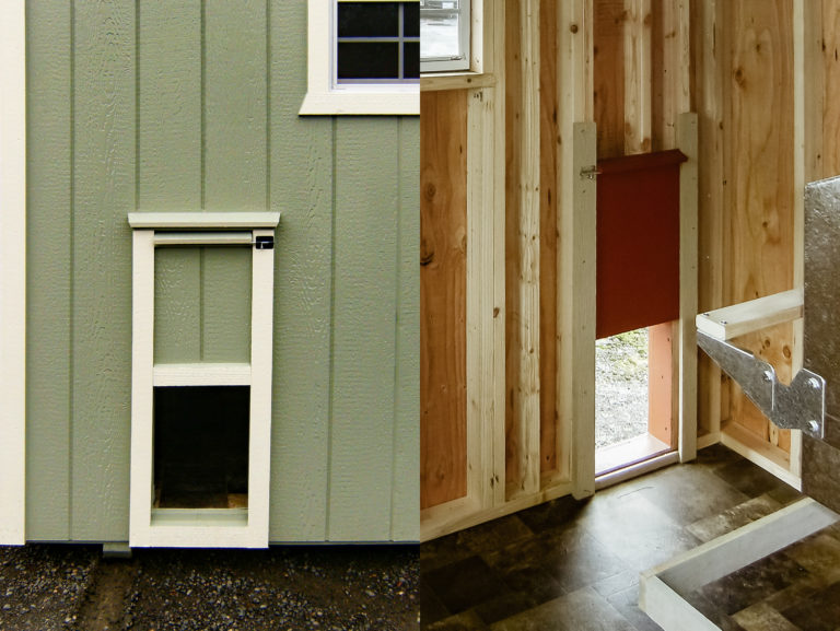 chicken coop door